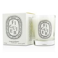 Figuier Candle